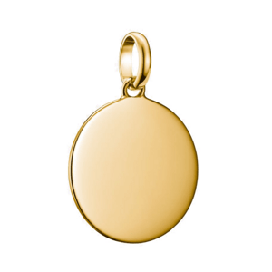 THOMAS SABO CONNECT strieborný prívesok charm Large coin gold-plated CC1273-413-39