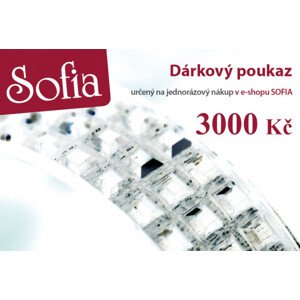 Dárkový poukaz v hodnotě 3000 Kč CZDP3000