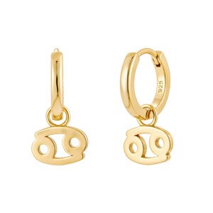 Olivie Strieborné náušnice RAK GOLD 9590 Ag 925; ≤2,2 g.