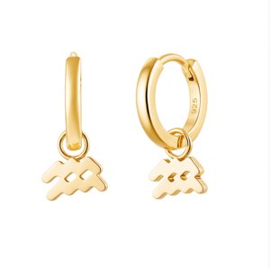 Olivie Strieborné náušnice VODNÁR GOLD 9597 Ag 925; ≤2,1 g.