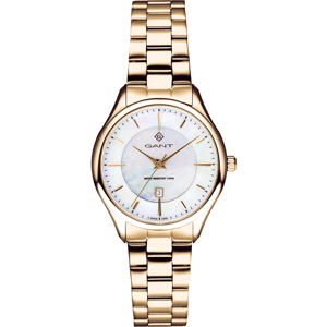 GANT G137004
