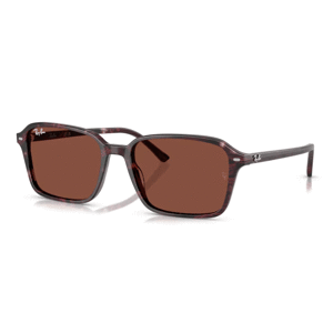 Ray-Ban RB2231 1416C5 -  (56-18-145)