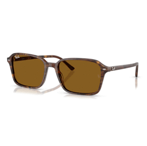 Ray-Ban RB2231 141833 -  (56-18-145)