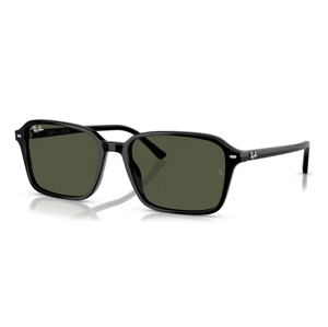 Ray-Ban RB2231 901/31 -  (56-18-145)