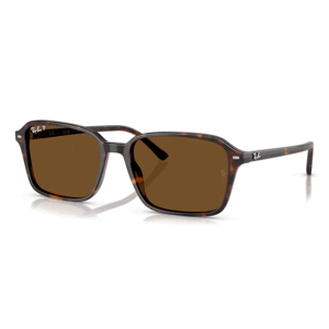 Ray-Ban RB2231 902/57 Polarizačné -  (56-18-145)