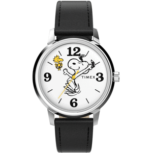 TIMEX TW2Y19900