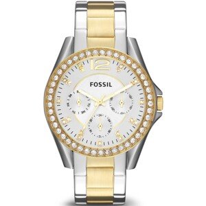 FOSSIL ES3204